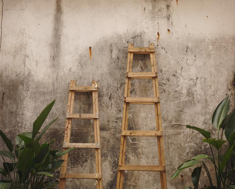 Two ladders, one shorter and one longer, on a wall.