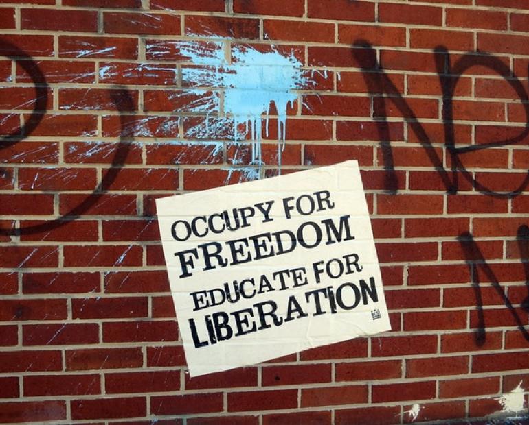 Occupy for Freedom Educate for Liberation