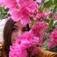 Pink flowers and a girl behind them