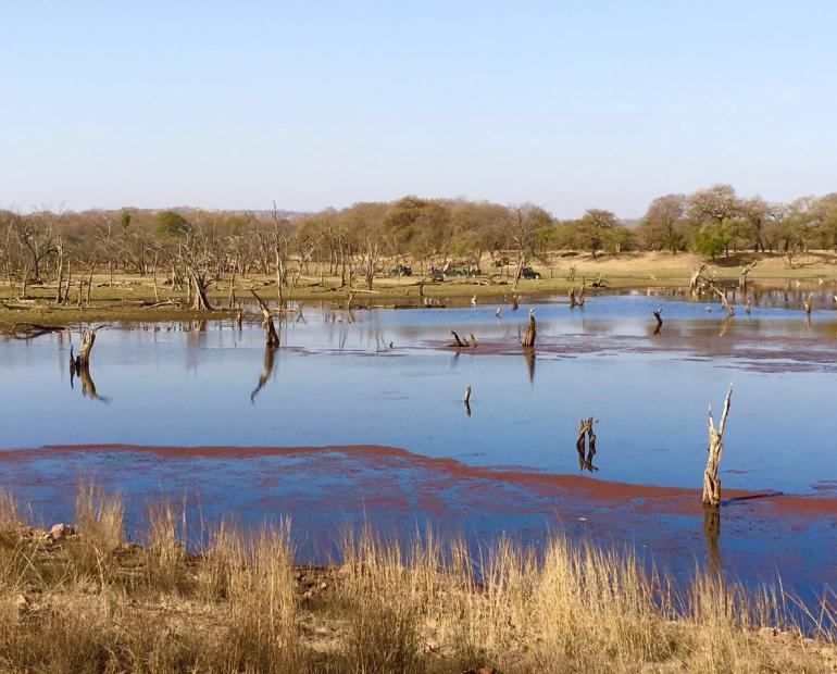 A water hole located in the hot arid and dry landscape of Rajasthan, India 