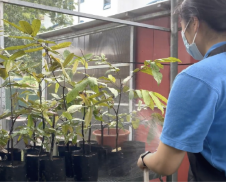 Cristina can be seen watering plants.